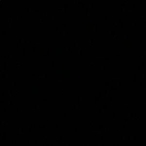 Meet your Posher, Gaby